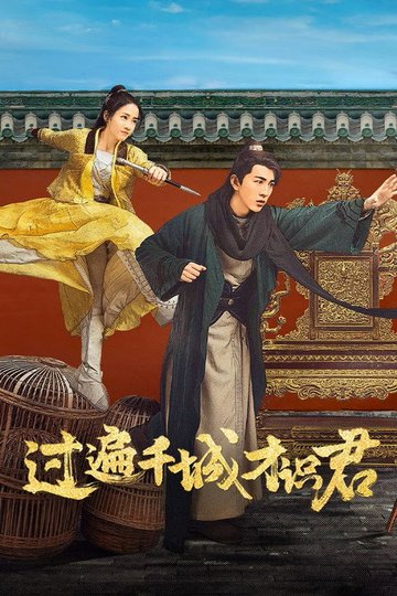 Locandina di 过遍千城才识君