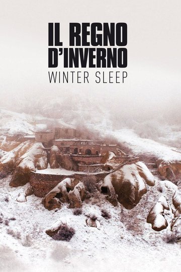 Locandina di Il regno d'inverno - Winter Sleep