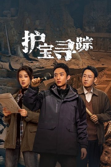 Locandina di 护宝寻踪