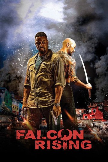 Locandina di Falcon Rising