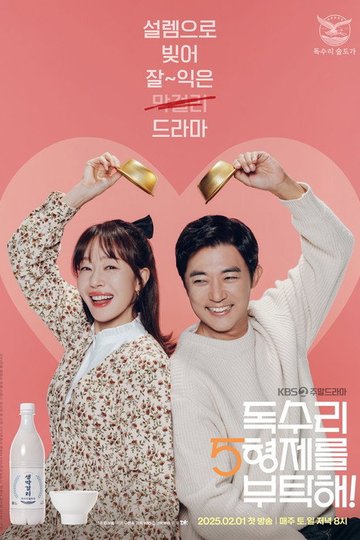 Locandina di 독수리 5형제를 부탁해!