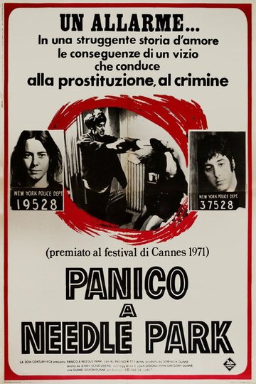 Locandina di Panico a Needle Park