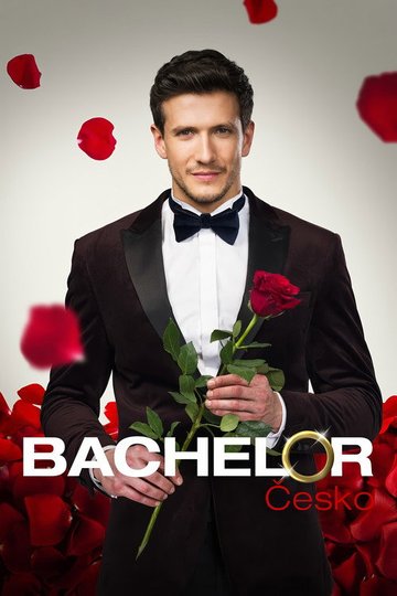 Locandina di Bachelor