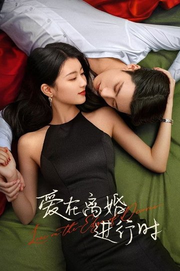 Locandina di 爱在离婚进行时