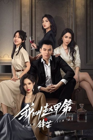 Locandina di 我叫赵甲第之锋芒