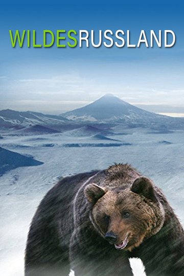Locandina di Wild Artico