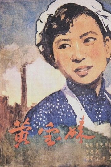 Locandina di 黄宝妹