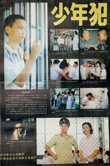 Locandina di 少年犯