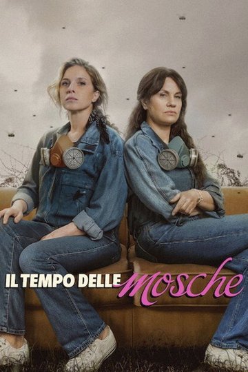 Locandina di Il tempo delle mosche