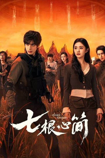Locandina di 七根心简