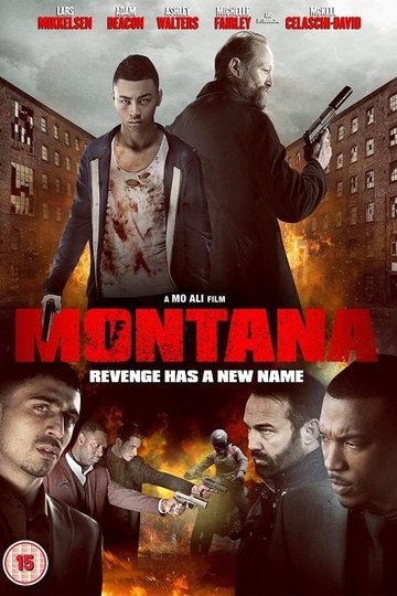 Locandina di Montana