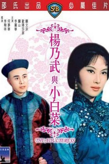 Locandina di 楊乃武與小白菜