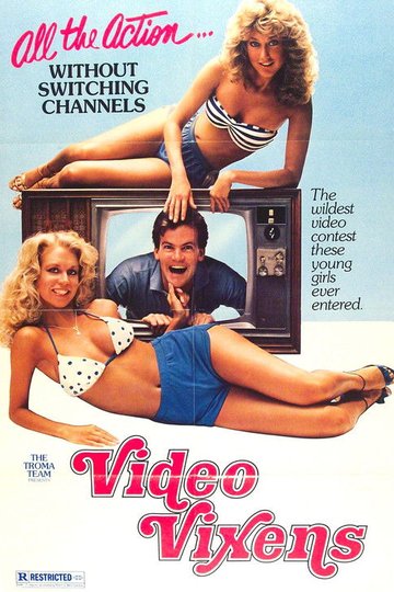 Locandina di Video Vixens!