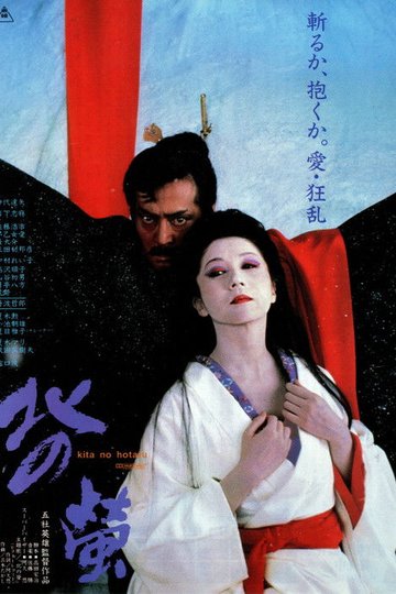 Locandina di 北の螢
