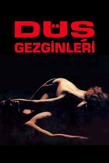 Locandina di Düş Gezginleri