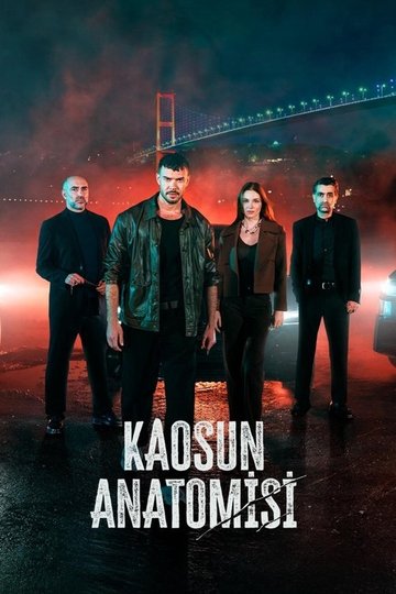 Locandina di Kaosun Anatomisi