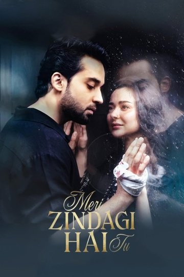 Locandina di Meri Zindagi Hai Tu