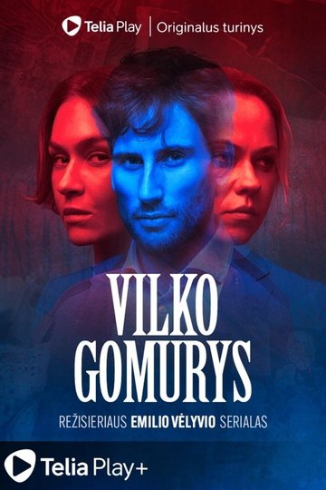 Locandina di Vilko gomurys