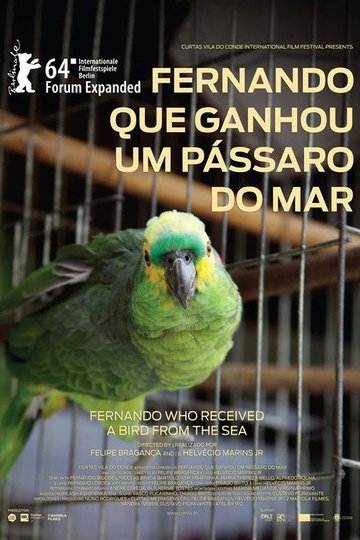 Locandina di Fernando que Ganhou um Pássaro do Mar