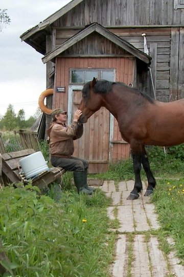 Locandina di The Robinsons of Mantsinsaari