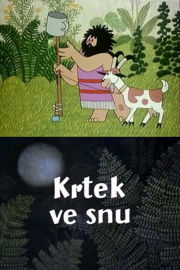 Locandina di Krtek ve snu