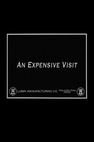 Locandina di An Expensive Visit