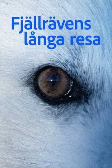 Locandina di Fjällrävens långa resa