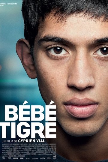 Locandina di Bébé Tigre