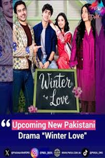 Locandina di Winter Love