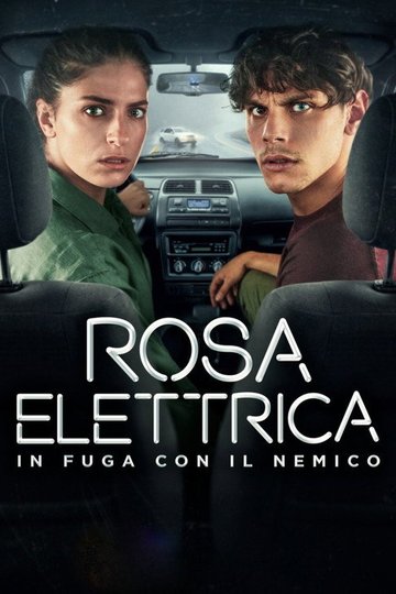Locandina di Rosa Elettrica - In fuga con il nemico