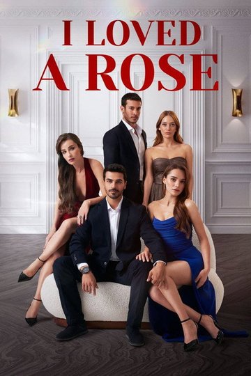 Locandina di Ask Yarası