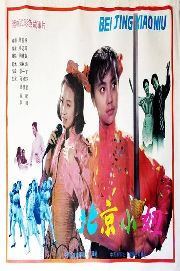 Locandina di 北京小妞