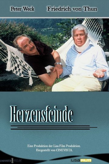 Locandina di Herzensfeinde