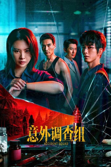 Locandina di 意外调查组