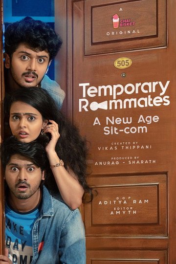 Locandina di Temporary Roommates