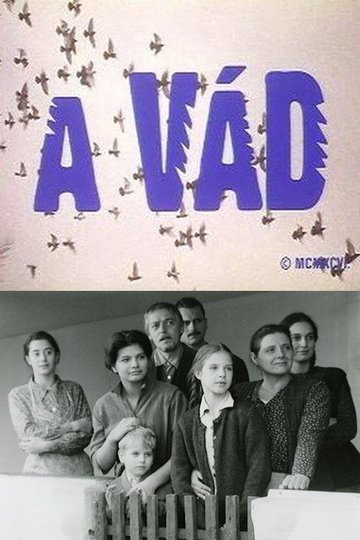 Locandina di A vád