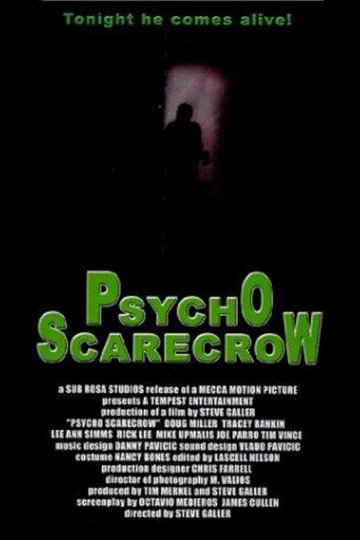 Locandina di Psycho Scarecrow