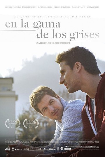 Locandina di En la gama de los grises