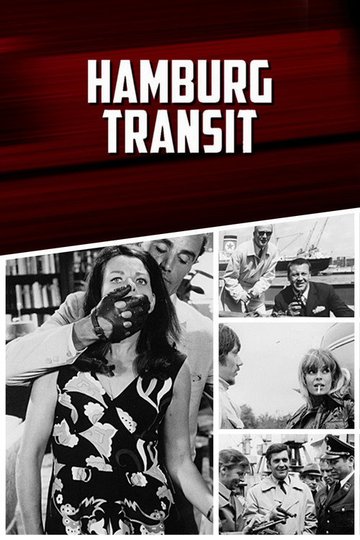 Locandina di Hamburg Transit