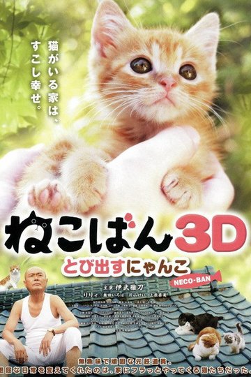 Locandina di ねこばん３Ｄ　とび出すにゃんこ