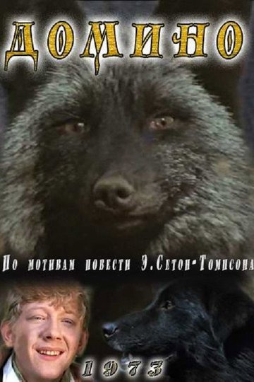 Locandina di Домино