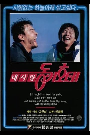 Locandina di 내 사랑 동키호테