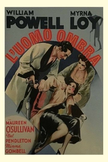 Locandina di L'uomo ombra