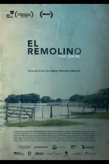 Locandina di El Remolino