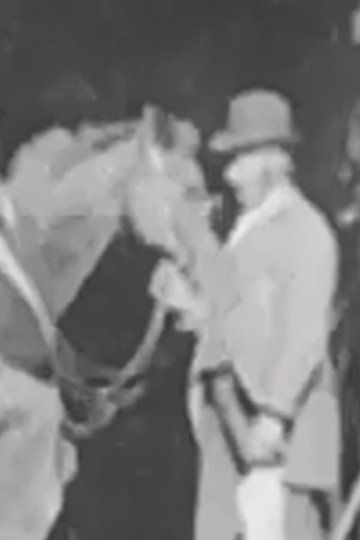 Locandina di Horse Shoeing