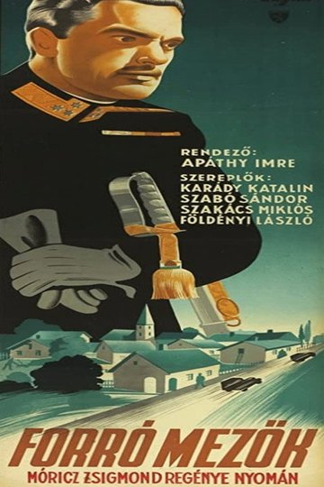 Locandina di Forró mezők