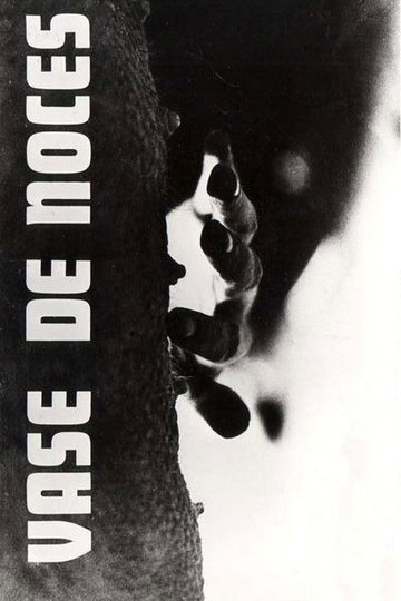 Locandina di Vase de Noces
