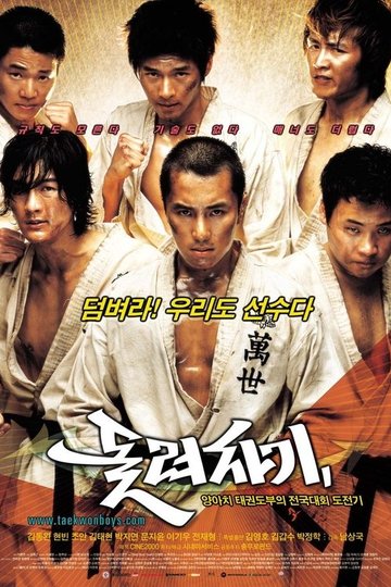 Locandina di 돌려차기