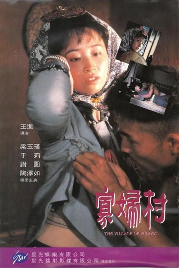 Locandina di 寡妇村