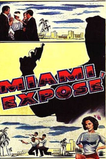 Locandina di Miami Exposé